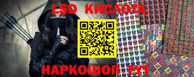 стаф Бердск