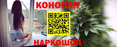 стаф Бердск