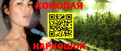 стаф Бердск