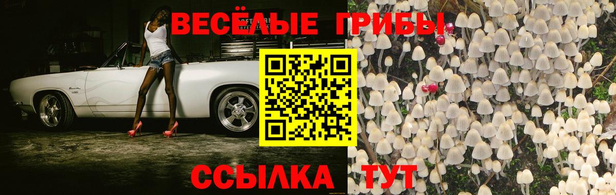 Псилоцибиновые грибы GOLDEN TEACHER Воркута